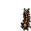 Outfit Centipede