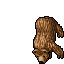 Outfit Bear