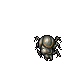 Outfit Scarab