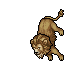Outfit Lion