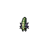 Outfit Larva